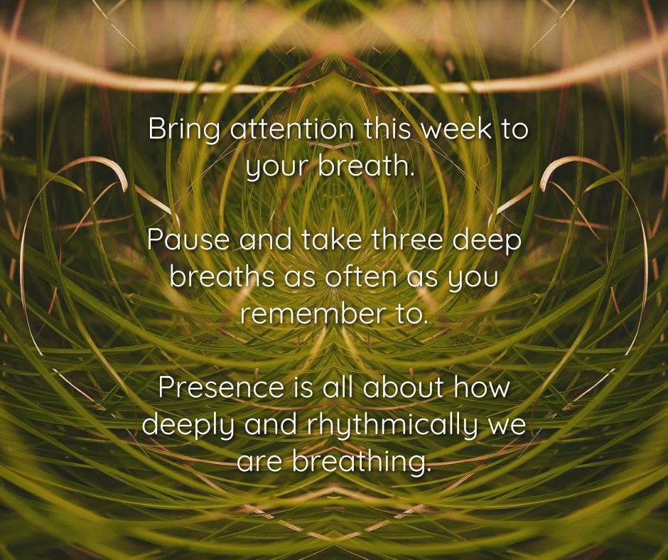 gene_keys's tweet photo. The Pulse – 20 May to 26 May – Bring attention this week to your breath. Pause and take three deep breaths as often as you remember to. Presence is all about how deeply and rhythmically we are breathing.
Listen to the audio: https://t.co/3DCOXeG9dv
#genekeys #genekey20 https://t.co/mnW8j6M4Bh