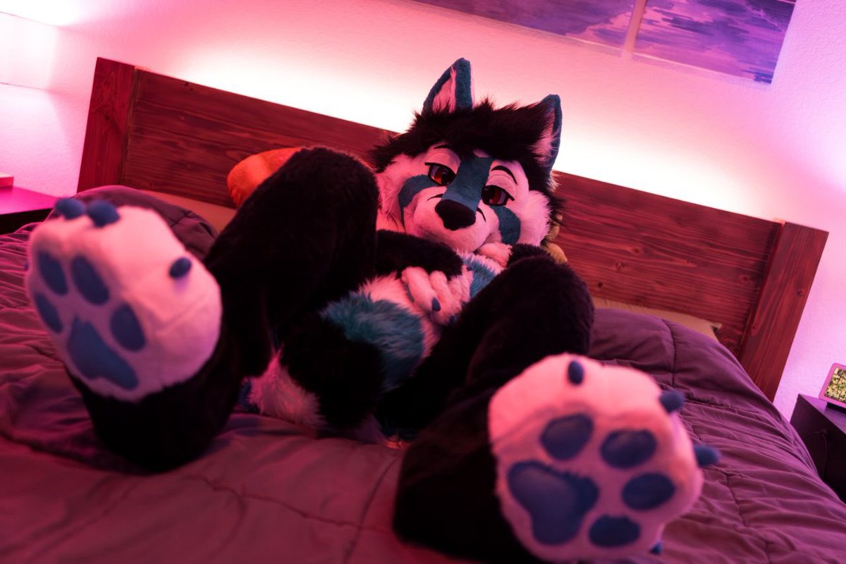 It's #PawDay? Have some 🐾
📸: <a href="/TheDizziest/">Bene Dizzerit 🏜️</a>