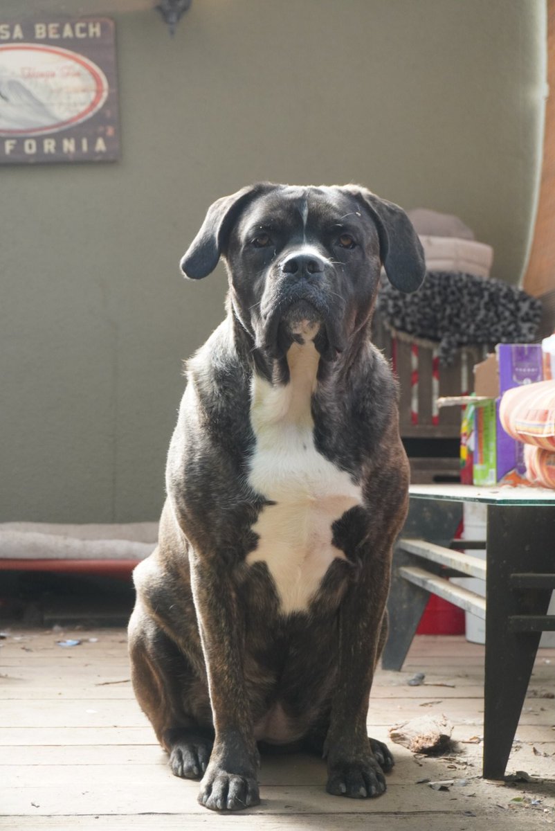 <a href="/UvgtdERt4PWmcjF/">R here</a> ของที่บ้านก็เป็นงี้เลย
ไม่ได้หมายถึงตัวจ่าฝูง แต่หมายถึงตัวโตที่รีบหมอบอย่างไว 😆