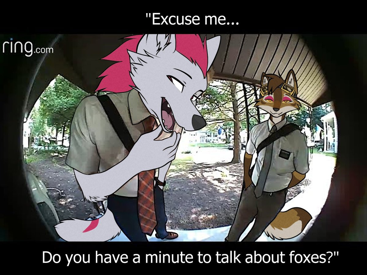 Foxes detected at front door 🚪