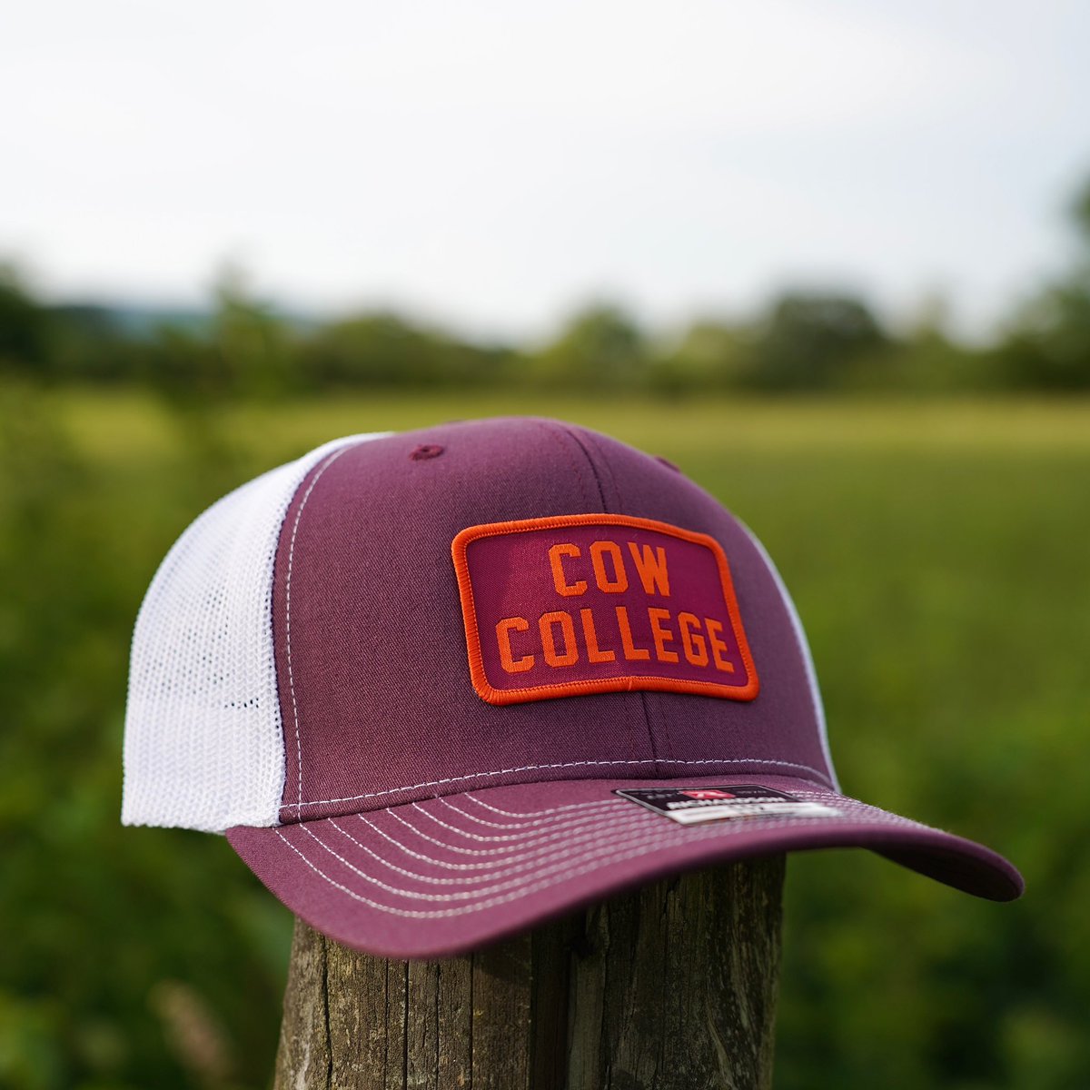 How about some Cow College hats⁉️👀

Let us know what you think in the comments! 🐄👇 #SWVA
