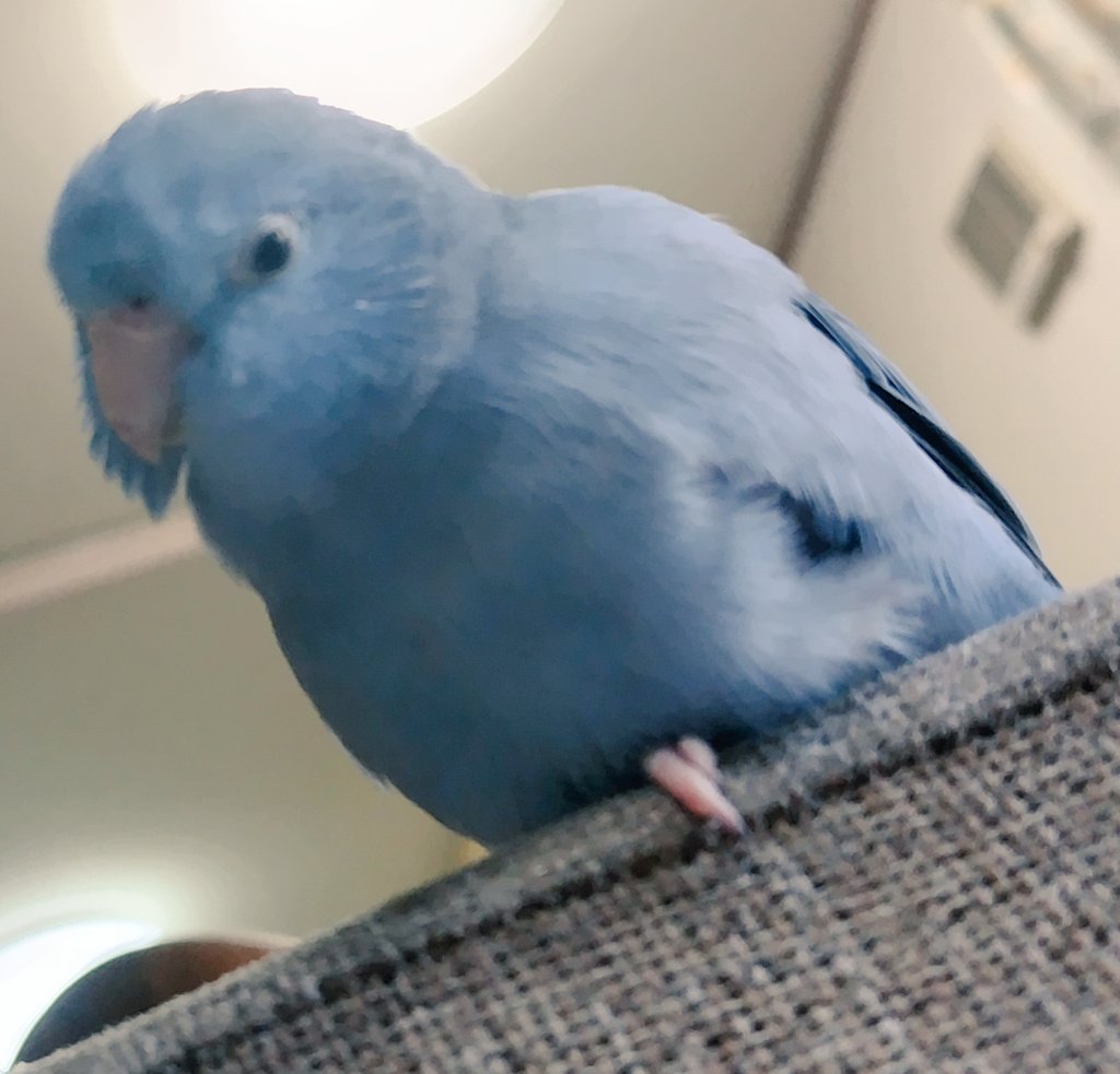 ピンボケですがあんよしまった穴が撮れました