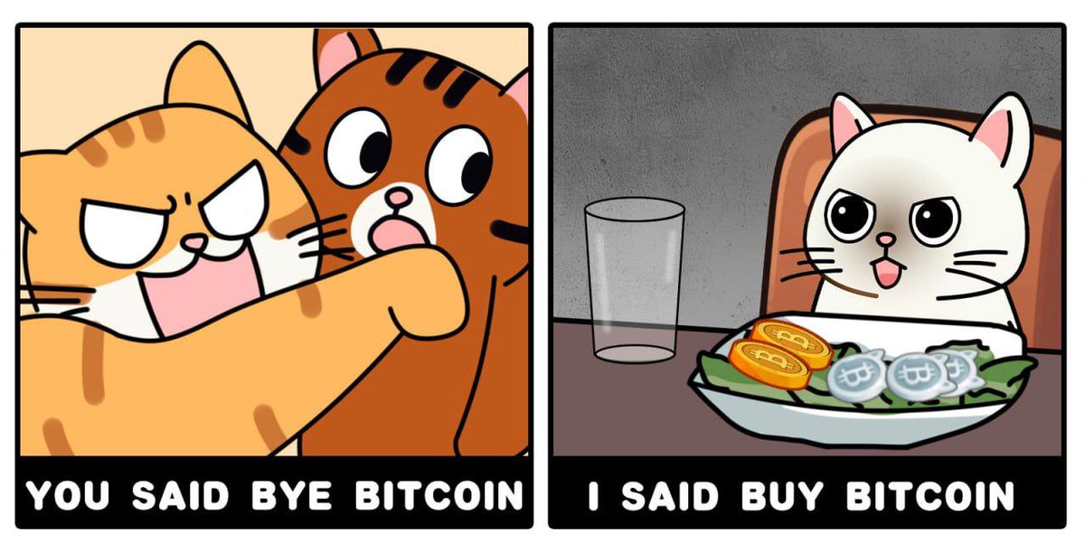 arif_only_'s tweet image. Boost your $REP Points @GiveRep 
Tag @GiveRep &amp;amp; @ATTNtoken $ATTN Next Bullish Airdrop @ikadotxyz $IKA Comment Tag @GiveRep 
#REP @GiveRep $IKA @ikadotxyz #ATTN @ATTNtoken