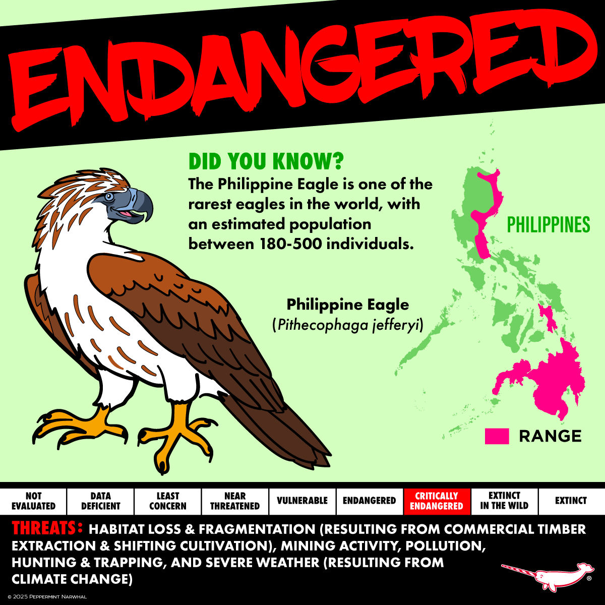 #Endangered #PhilippineEagle 

Endangered 7 #Kickstarter  Pledge Now!
kickstarter.com/projects/peppe…