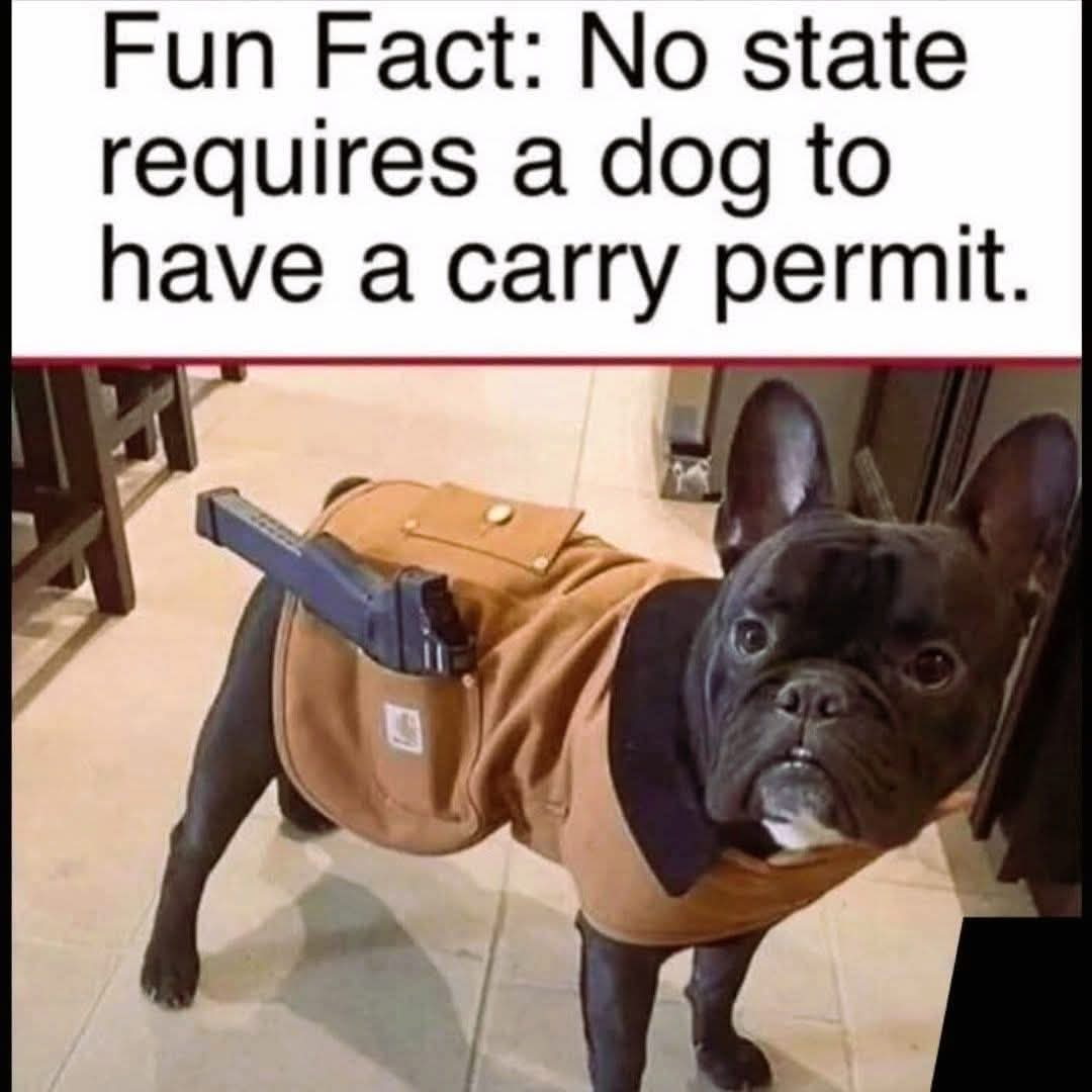 <a href="/GigaBasedDad/">Giga Based Dad</a>