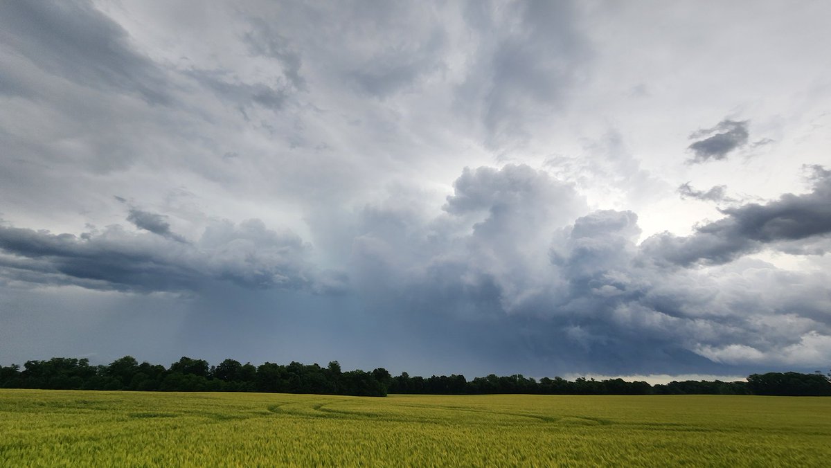 HoosierRyanWx's tweet photo. Russellville kentucky chasing cell towards bowling green kentucky
#kywx https://t.co/VX3XBKzRW0