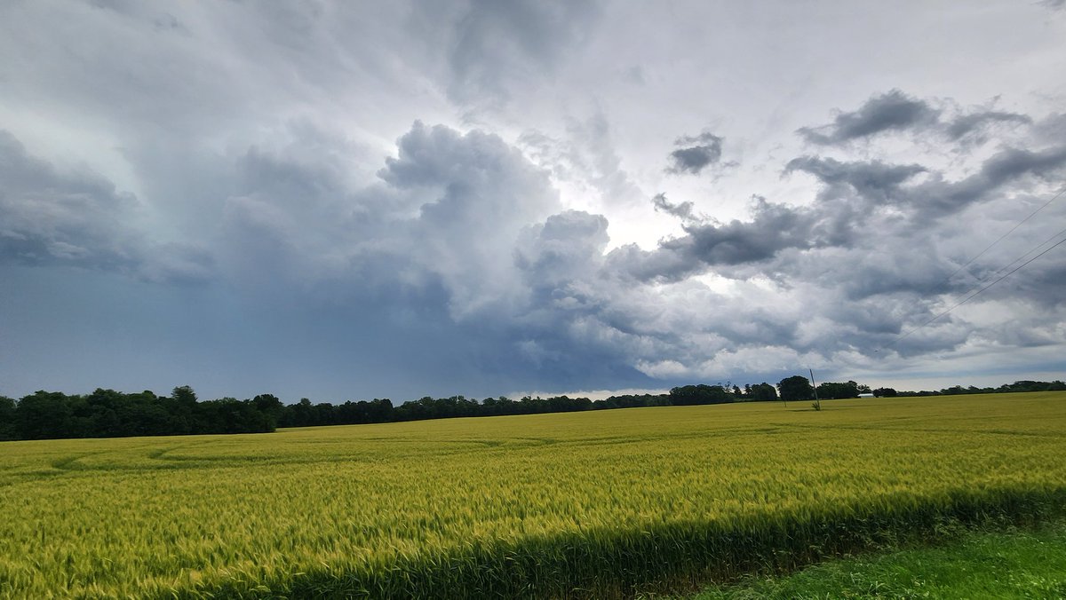 HoosierRyanWx's tweet photo. Russellville kentucky chasing cell towards bowling green kentucky
#kywx https://t.co/VX3XBKzRW0