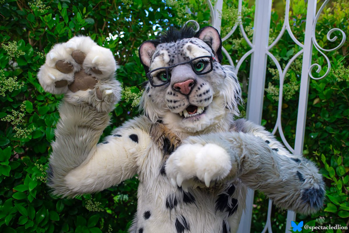 Sharing an up-close view of some snep beans on #PawDay today!

🪡: <a href="/Beetlefursuits/">Beetlecat.bsky.social</a>
📸: <a href="/spectacledlion/">SpectacledLion 🇺🇦🇵🇸 🔛 🟦⛅️</a>