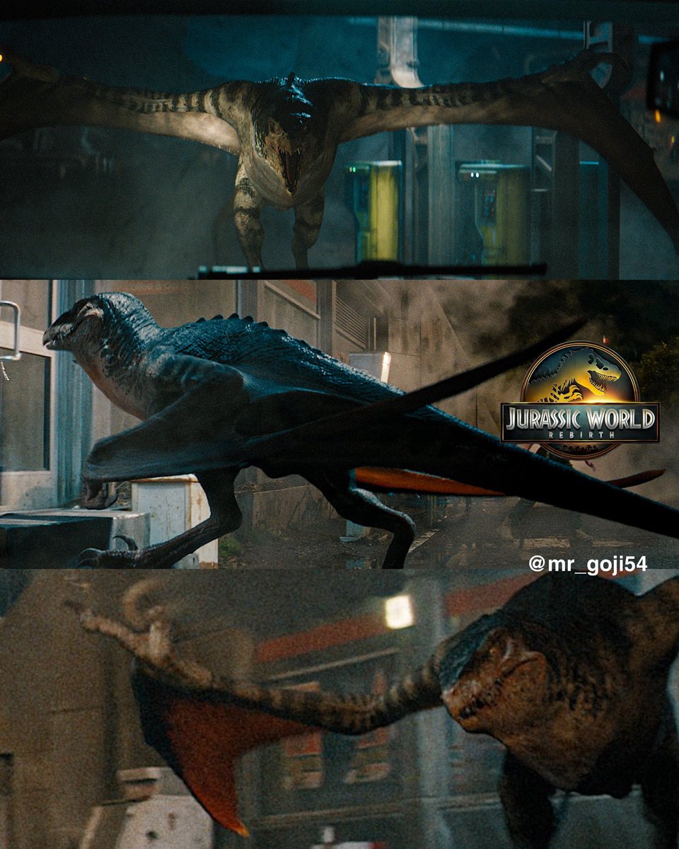 ThePoeticLilly's tweet photo. Controversial opinion it seems, but these Mutadons are gorgeous
I love them so much
I love that they're very obviously flightless. They were definitely created with the idea of "what if we gave a theropod wings?! And they realized there's too much body for them to fly. #jwrebirth https://t.co/j6wVLUyasF