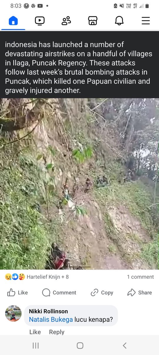 Anthony Craig Advocate for West Papuans tweet media