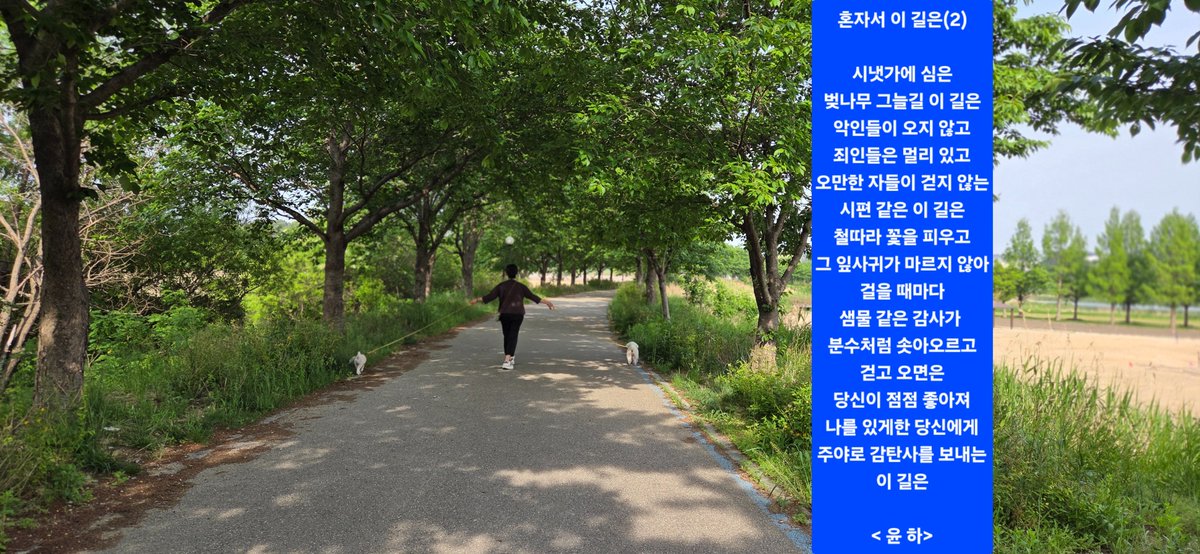 윤 하 (@yoonha5801) on Twitter photo 