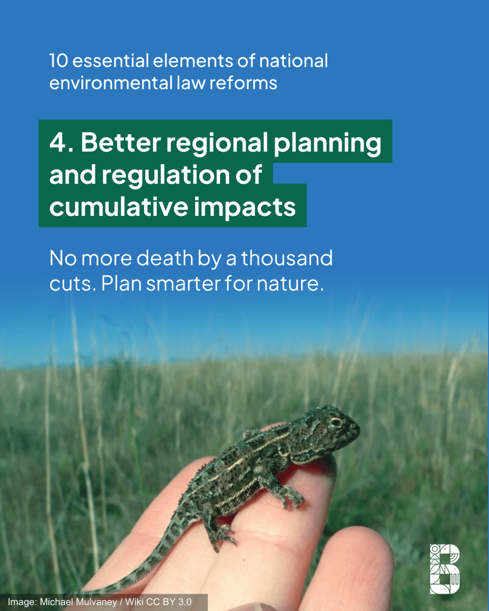 Biodiversity Council (@biodivcouncil) on Twitter photo New Environment Minister <a href="/MurrayWatt/">Senator Murray Watt</a> has acknowledged that our current national environmental laws aren't working for the environment or business, and need reform.
Here is a good place to start: the 10 key reforms that our experts say are important to fixing our national New Environment Minister <a href="/MurrayWatt/">Senator Murray Watt</a> has acknowledged that our current national environmental laws aren't working for the environment or business, and need reform.
Here is a good place to start: the 10 key reforms that our experts say are important to fixing our national