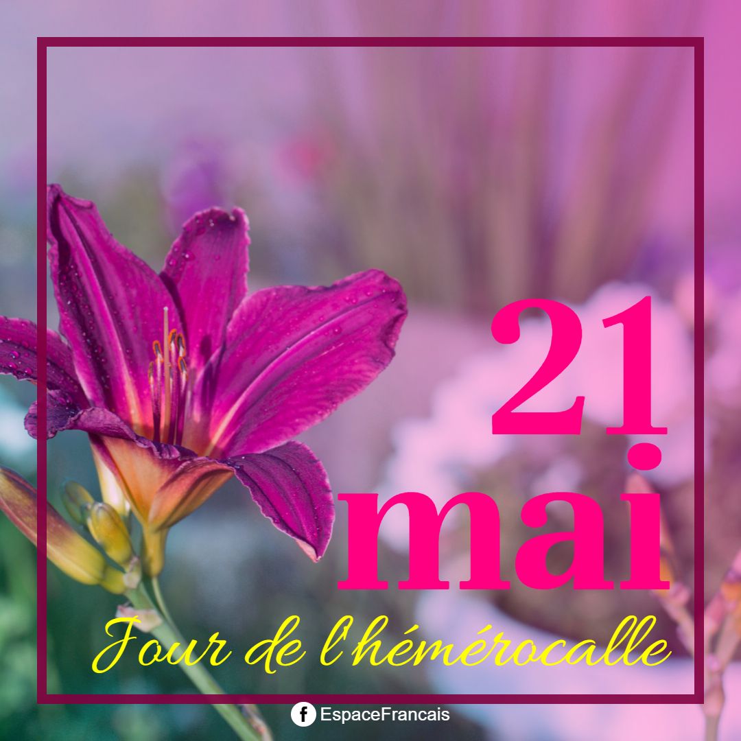 EspaceFrancais's tweet image. 🌞 Bonjour ! Nous sommes le mercredi #21mai 2025.
🌿 Jur de l'hémérocalle.
🎉 Journée mondiale pour la diversité culturelle, le dialogue et le développement.
🎂 Nous fêtons les Constantin, les Second et les Marchan...
Bonne journée ! 😉
#éphéméride #diversité #mai #mercredi
