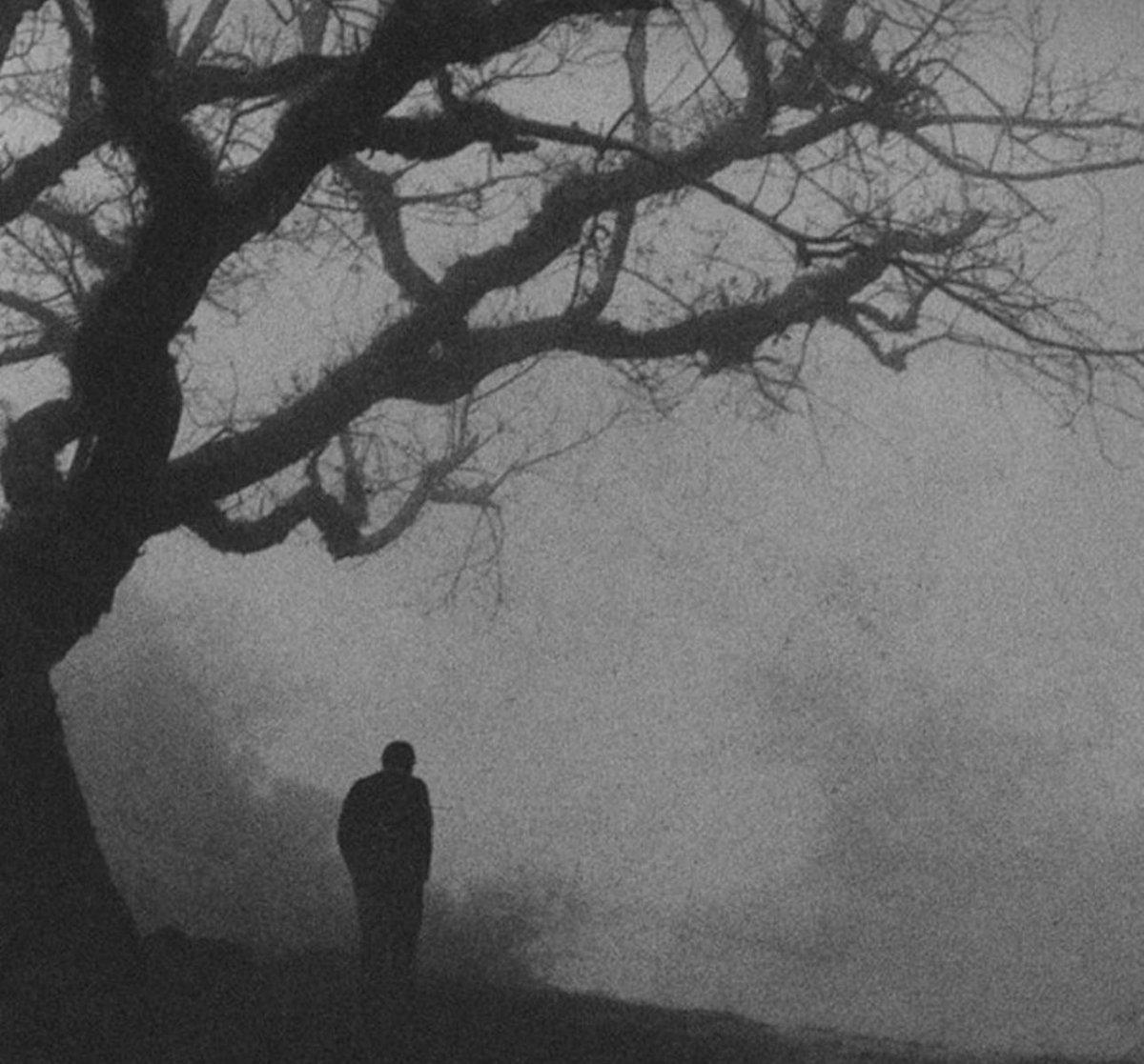 21 Mayıs…

giderek
her şeyden vazgeçe vazgeçe,
sanki
bir başkası oldum..