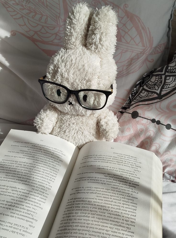 cutedreamvibes's tweet image. 