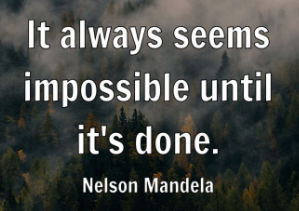 mrgrtcook's tweet image. 