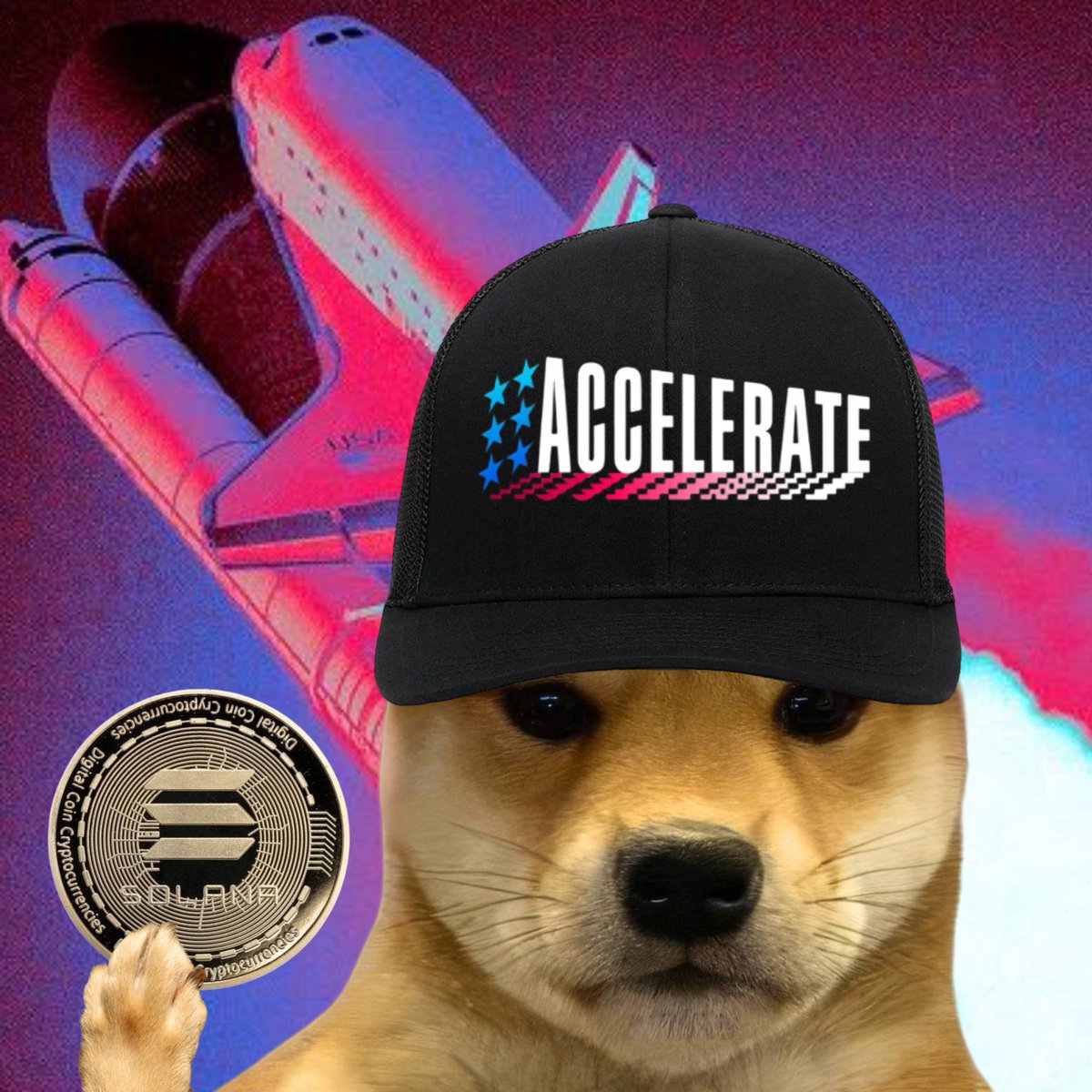 dogwifcoin tweet media