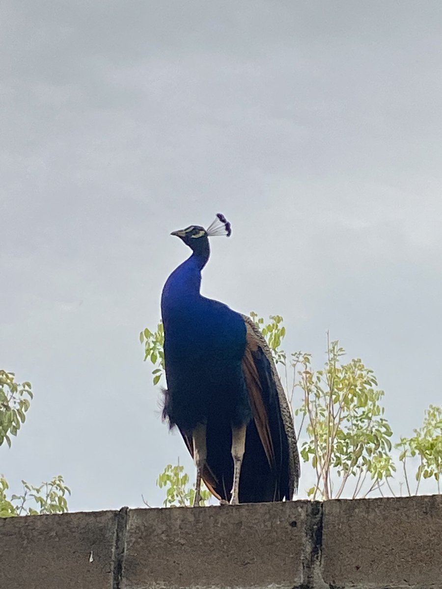 Atesate, lo que viene es agua 😵‍💫
