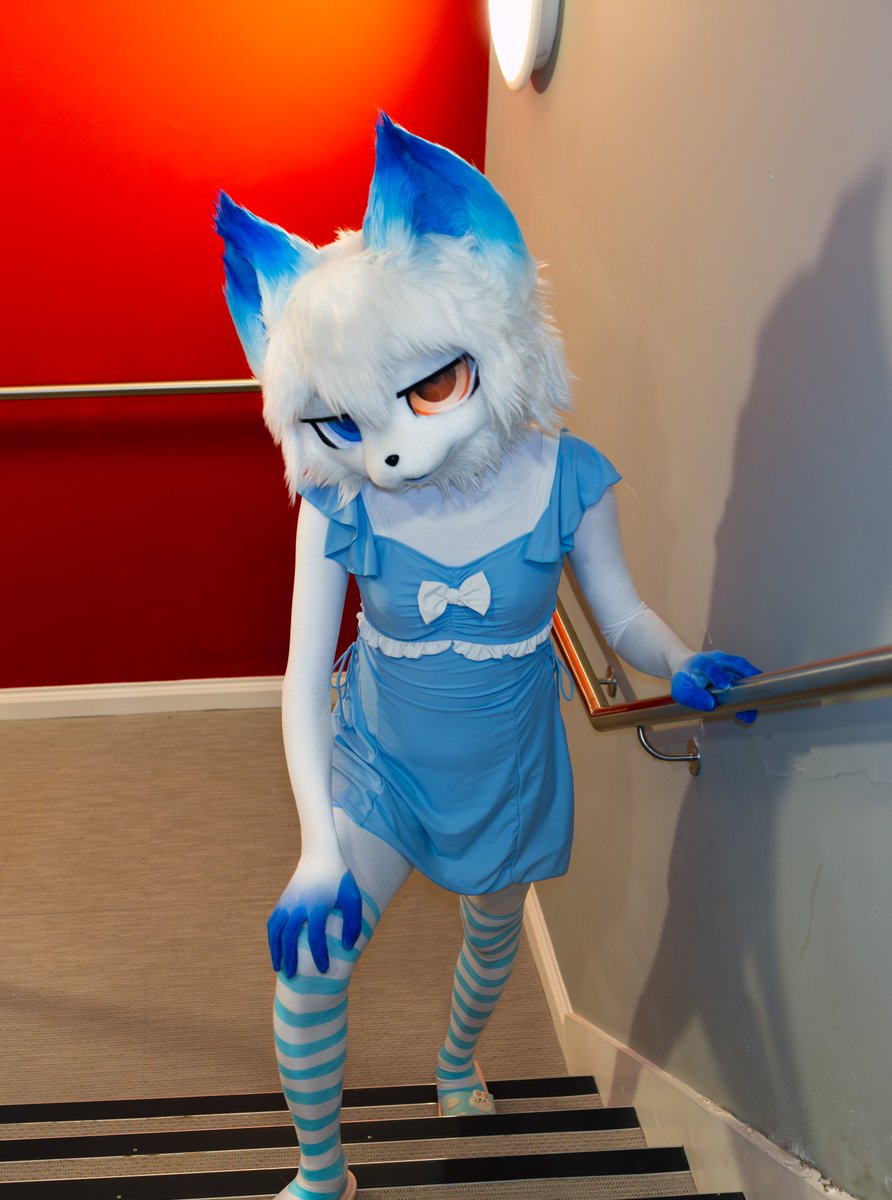 SnowFoxK46's tweet photo. https://t.co/pyhLN7kU7w