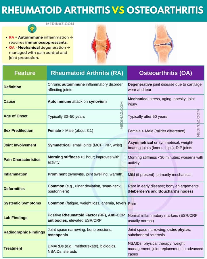 خلنا نشرح الفروقات الاساسية بين Rheumatoid Arthritis و Osteoarthritis:

🧠 القصة تبدأ: RA ضد OA
🦠 أول شي، السبب (Cause):
RA: هو مرض autoimmune، يعني جسمك بدل ما يحارب البكتيريا، بدأ يحارب نفسه! تحديدًا يهاجم synovium (الغشاء اللي يغلف المفصل).
يعني تخيل جهاز المناعة صار عنده