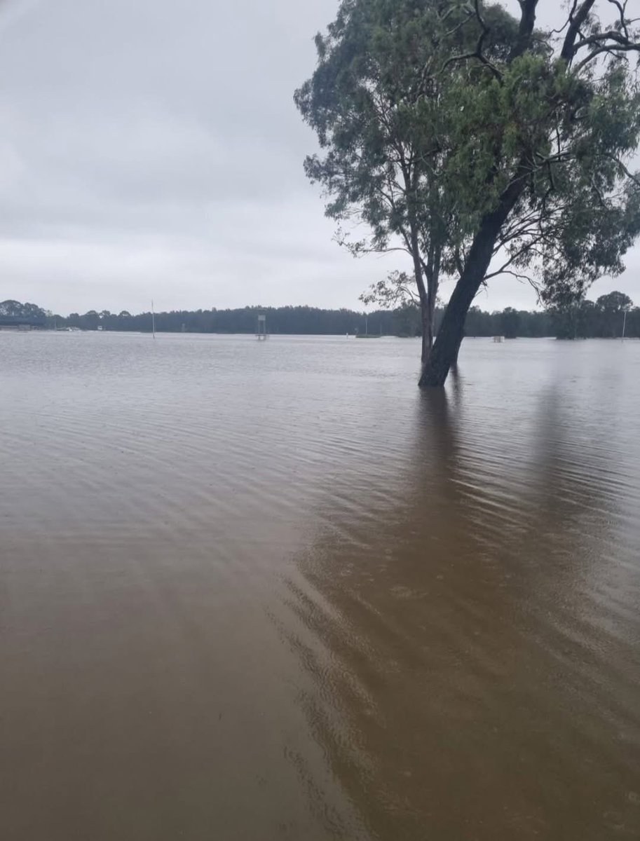 There’s a good chance the races at Taree on Monday won’t be going ahead…