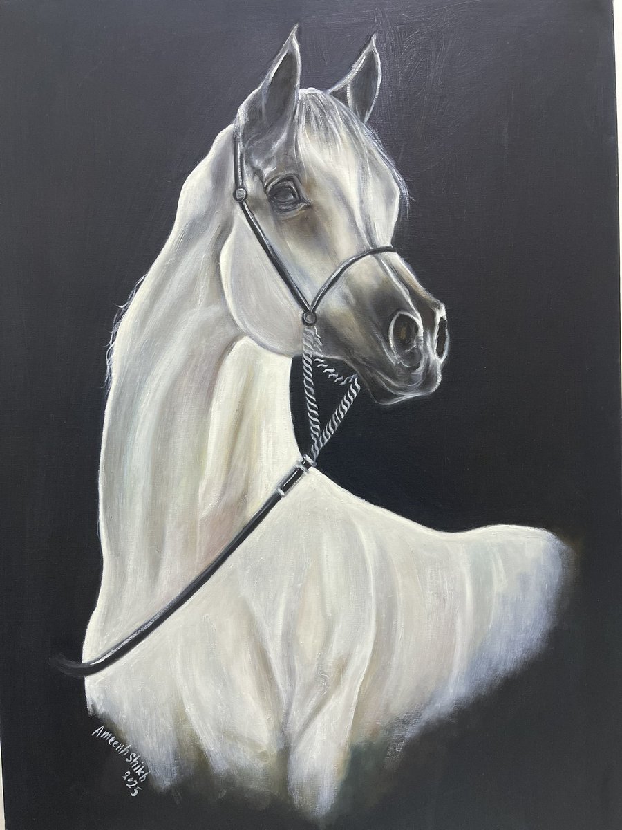 amenh_art's tweet photo. 100*70cm 

#art#ksalife#saude#artwork #artist #artesanato #رياض #الرياض #جدة #lifestyle #liv #trendy #trendingsongs #لوحات_فنية #لوحات #قطع #خيل #خيول #فرس #سطبل #سطبلات #خيل_عربي #خيلي https://t.co/8YjiLSYLHd