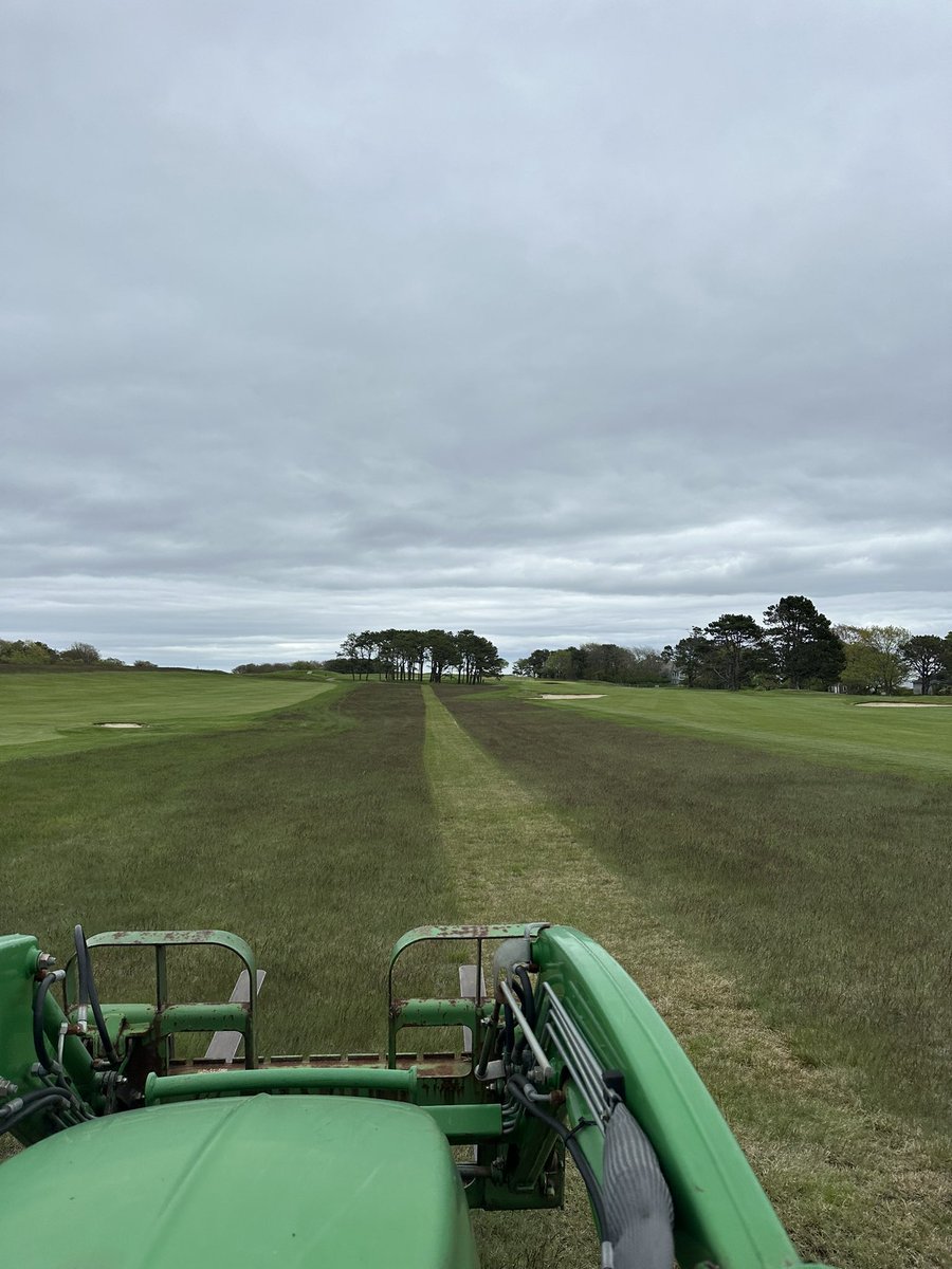 Robert Searle tweet media