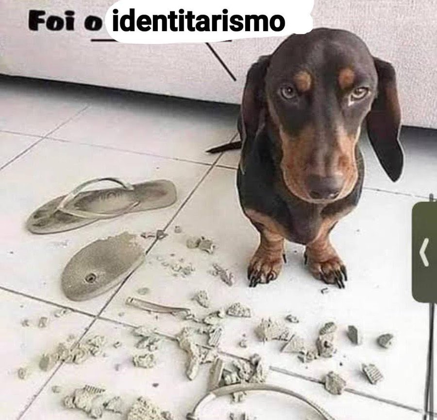 Renzo Carvalho 🇵🇸 (@_doblues) on Twitter photo 