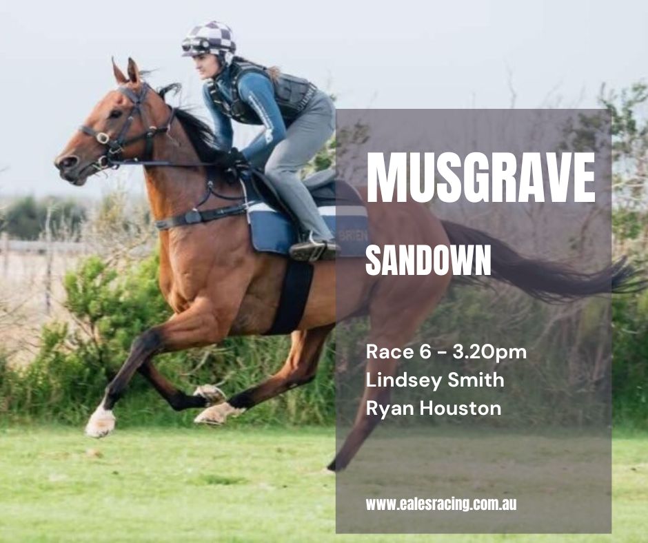 Eales Racing Syndications (@ealesracingsyn) on Twitter photo 🔶RACING TODAY - MUSGRAVE🔶
The second of our runners <a href="/MelbRacingClub/">Melbourne Racing Club</a> Sandown is Musgrave for <a href="/LSmithRacing/">Lindsey Smith Racing</a> and jockey <a href="/HoopHouston/">Ryan Houston</a>
He comes to this race nice and fresh, the form around him is good and we expect a bold showing.
Best of luck to his owners 🏇 🔶RACING TODAY - MUSGRAVE🔶
The second of our runners <a href="/MelbRacingClub/">Melbourne Racing Club</a> Sandown is Musgrave for <a href="/LSmithRacing/">Lindsey Smith Racing</a> and jockey <a href="/HoopHouston/">Ryan Houston</a>
He comes to this race nice and fresh, the form around him is good and we expect a bold showing.
Best of luck to his owners 🏇