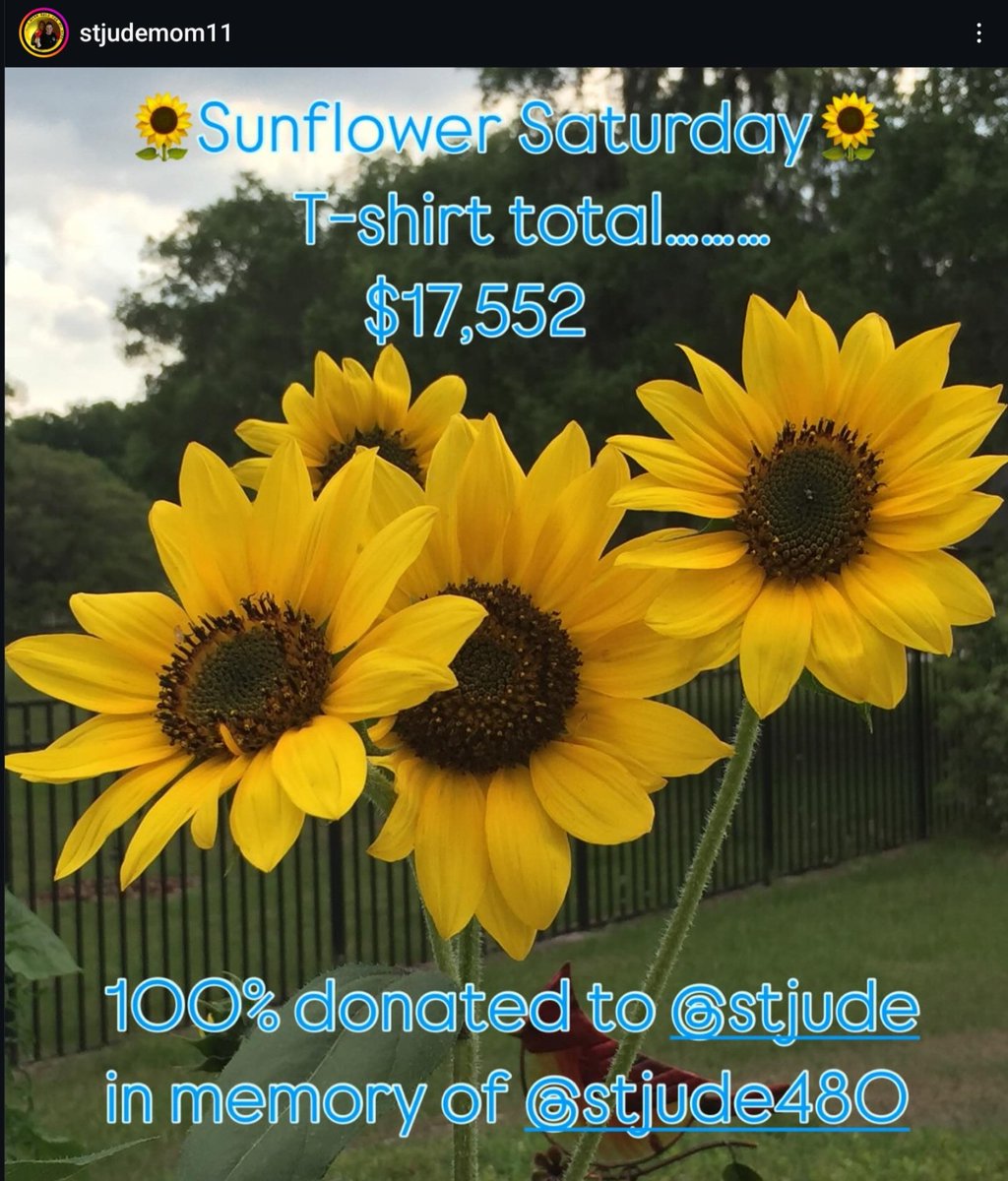 Thank you to everyone who purchased a <a href="/_baygod_/">Baylee Goddard</a> designed Sunflower Saturday shirt or made a donation. Your continued support means the world to the Braswells.