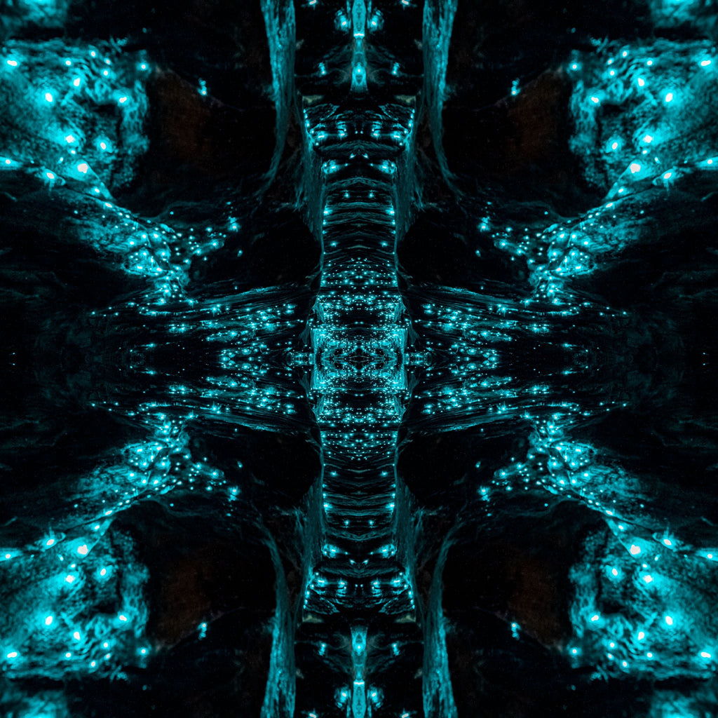 Kess Gallery tweet media