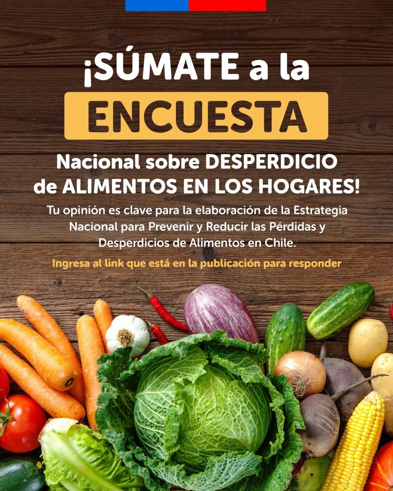 glocalminds tweet media