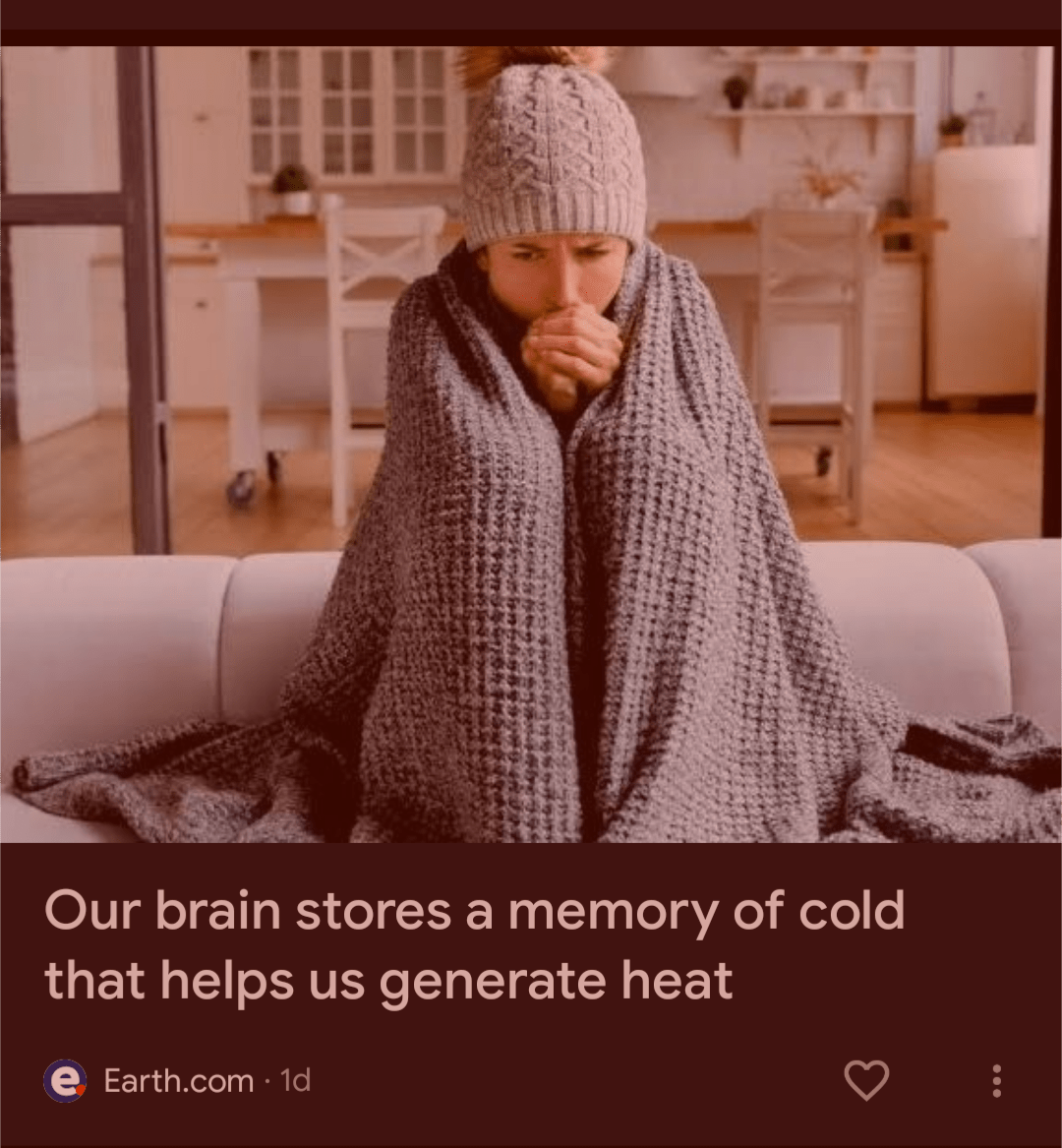 ❄️ Your brain remembers cold. Here's how that helps you stay warm naturally: earth.com/news/our-brain…