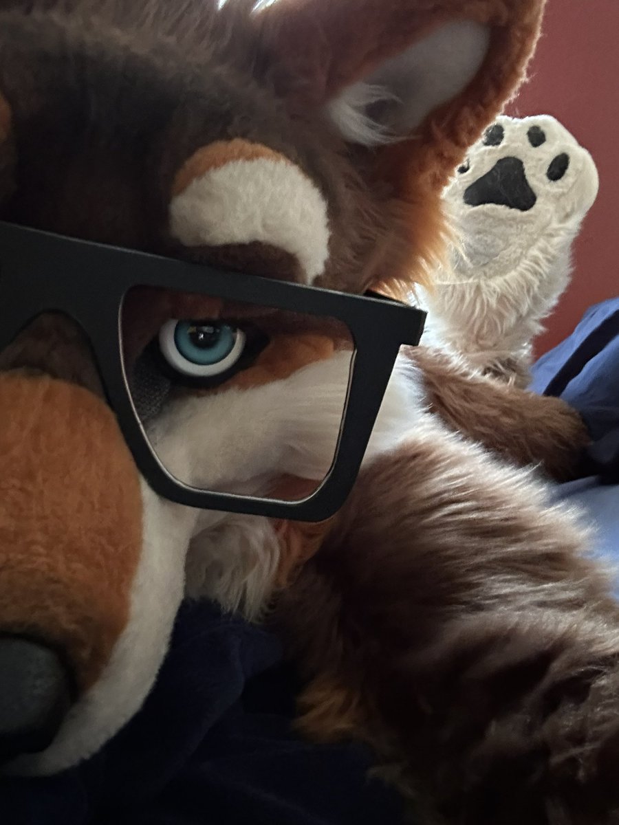 I need to take more paw pics… #PawDay