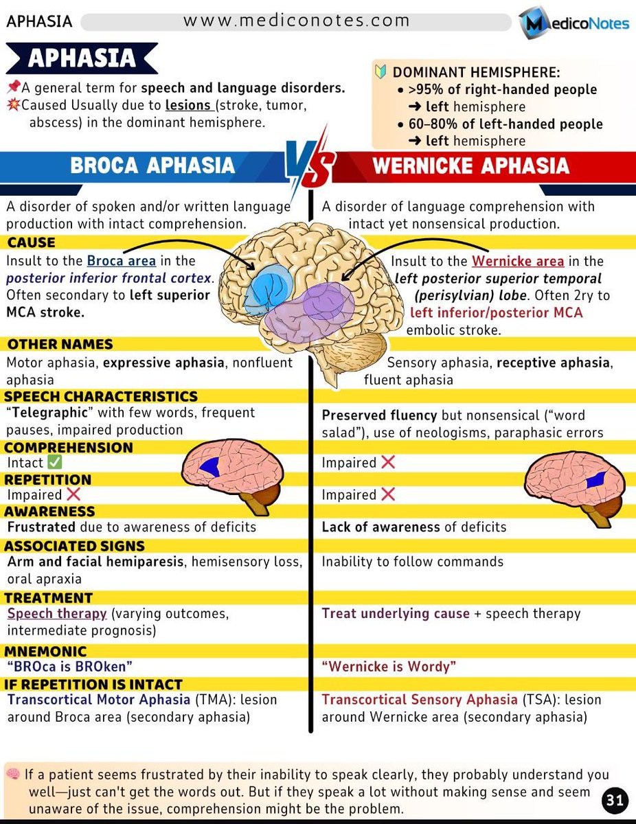 AB_drmd's tweet photo. وش يعني Aphasia؟
Aphasia هي اضطراب في اللغة (فهم أو إنتاج أو الاثنين)، غالبًا بسبب stroke أو tumor أو abscess في dominant hemisphere من الدماغ.
والـ dominant hemisphere غالبًا تكون:
يسار في ٩٥٪ من الناس اللي يستخدمون يدهم اليمين
ويسار برضو في ٦٠-٨٠٪ من الناس اللي يستخدمون يدهم اليسار

💔 الجزء الأول من الفيلم: Broca Aphasia (المسكين اللي ما يقدر يتكلم)
هذا الشخص فاهم كل شي، بس لما يجي يتكلم، تتلخبط كلماته، يتكلم ببطء، وبصعوبة.
كأنك تقول له "وش اسمك؟" ويرد عليك "اس... اس... نا... ناصر" 😓

السبب؟
ضربة (stroke) في منطقة Broca area، الموجودة في posterior inferior frontal cortex (الجهة الأمامية السفلى من الفص الجبهي – غالبًا من الجهة اليسرى).

صفاته:
يسمونه برضو: Motor aphasia، أو Expressive aphasia، أو Non-fluent aphasia
كلامه يكون زي التلغراف: كلمات قليلة، توقفات كثيرة، وصعوبة بالنطق
فاهم صح ✅
بس ما يقدر يكرر الكلام ❌
يعرف إنه مو قادر يتكلم، ودايم يكون محبط ومتضايق 😖
أحيانًا يكون معه ضعف في اليد أو الوجه (hemiparesis) من نفس الجهة

العلاج؟
يعتمد على Speech Therapy
والنتائج تختلف حسب حجم الإصابة وسرعة التدخل

تلميحة ذكية:
"BROca is BROken" ➡️ منطقتك التعبيرية مكسورة

🧠 الجزء الثاني من الفيلم: Wernicke Aphasia (اللي يتكلم كثير بس ولا شي مفهوم)
هذا الشخص يتكلم بطلاقة، بس الكلام اللي يطلع منه ولا له معنى. تقول له: "وش اسمك؟" يرد:
"البس كوكب تفاحة كيبورد يعني أنا في بيت البحر" 😐
هو ما يدري إنه يقول أشياء مالها معنى.

السبب؟
ضربة في Wernicke area، الموجودة في left posterior superior temporal lobe (الجزء الخلفي العلوي من الفص الصدغي – غالبًا الجهة اليسرى).

صفاته:
يسمونه برضو: Sensory aphasia، أو Receptive aphasia، أو Fluent aphasia
يتكلم بطلاقة بس كلامه عبارة عن Word salad = هرجة بلا معنى
يستخدم كلمات مخترعة أو يغلط بالكلمات (neologisms & paraphasias)
ما يفهم الكلام ❌
ولا يقدر يكرر ❌
ما يدري إنه فيه مشكلة أصلاً! 😮
ما يقدر يتبع الأوامر (Inability to follow commands)

العلاج؟
أول شي تعالج السبب الأساسي (مثلاً stroke)
ثم تبدأ جلسات نطق (Speech therapy)

تلميحة ذكية:
"Wernicke is Wordy" ➡️ يتكلم كثير بس ما يُفهم