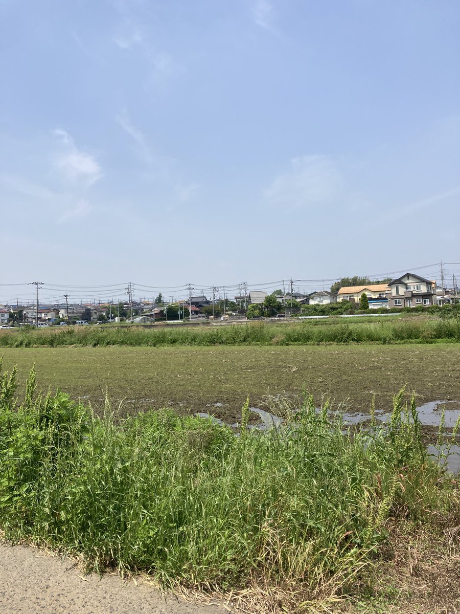 ここも柏です。
色々な風景があります。