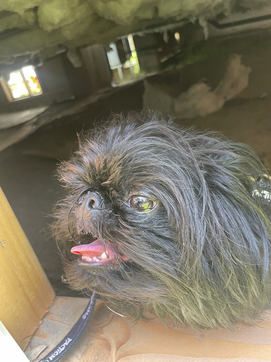 Matt Baran tweet media