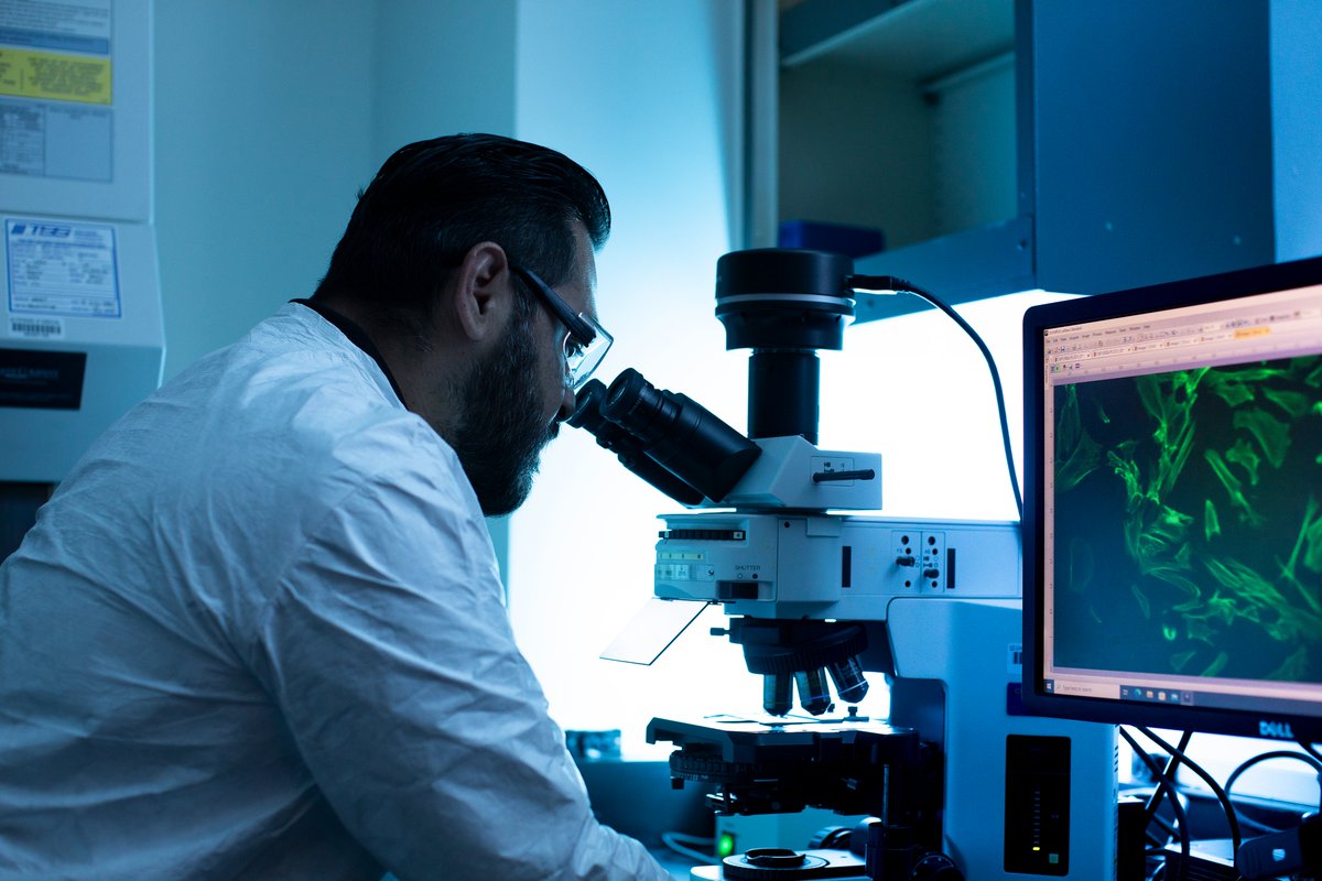 UCLAstemcell's tweet photo. UCLA’s Translational Cell Therapy Lab partners with stem cell researchers to build life-changing therapies — all while mentoring the next generation scientists who’ll carry this critical work forward.
🧬 Read more: https://t.co/4v6U7WqSAh 
#CellTherapy #RegenerativeMedicine https://t.co/Cq5fuBeV7R