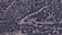 engineco16's tweet photo. @DanielFireTruck Motorcycle or ATV you can see it's dot in the middle of the dirt road, then top of it. #CrossingFire #Arson https://t.co/ziVGVqhi75