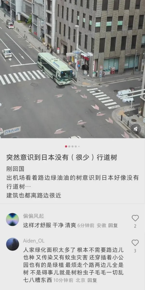 mengyan1234567's tweet photo. 某网友：日本路边不种树，才是对的！

那么问题来了，你猜日本是不想种呢，还是因为路太窄了没法种？

呵呵，日本不种树，说日本好，要是中国没有行道树，又该说绿化不行，城建不行，看看国外某某某。

正反都是它们的理🤷🏻‍♀️ https://t.co/Y72cdsDgER
