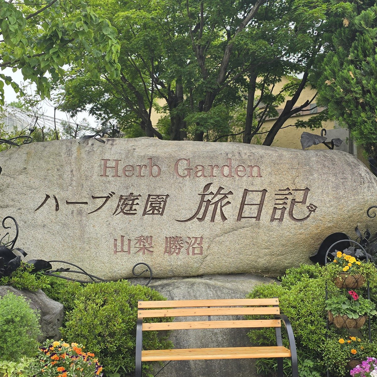 chako235921's tweet photo. 先日(5/16)薔薇🌹の花を見に行ってきました😊
とても綺麗でいい香り、癒されました😌

 #ハーブ庭園旅日記 
 #薔薇が一番好き https://t.co/QvY4TpbtLj