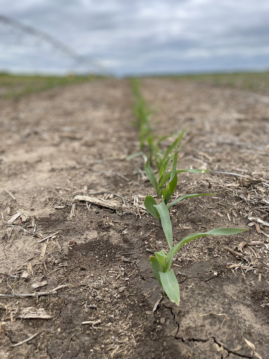 Channel Nebraska tweet media