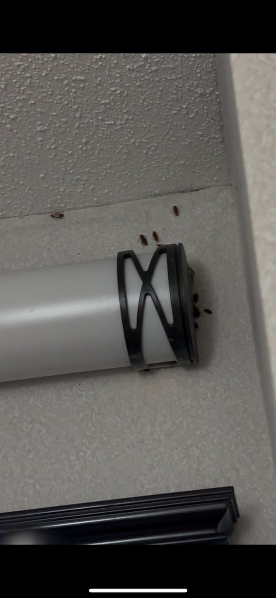 Photo taken at a Healey hotel 🪳