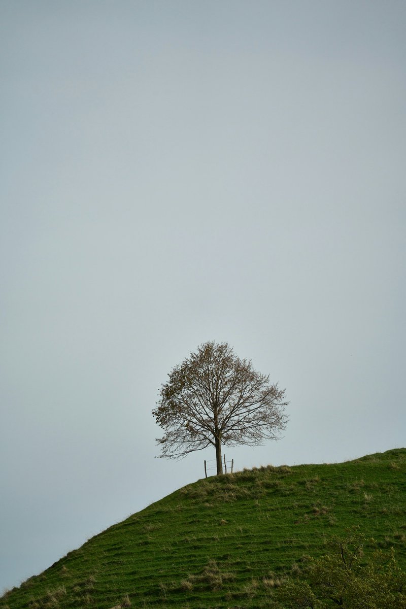 minimalism's tweet photo. Quiet beauty in every frame.

https://t.co/UZD2l6ak3l https://t.co/njlwkd4XKa