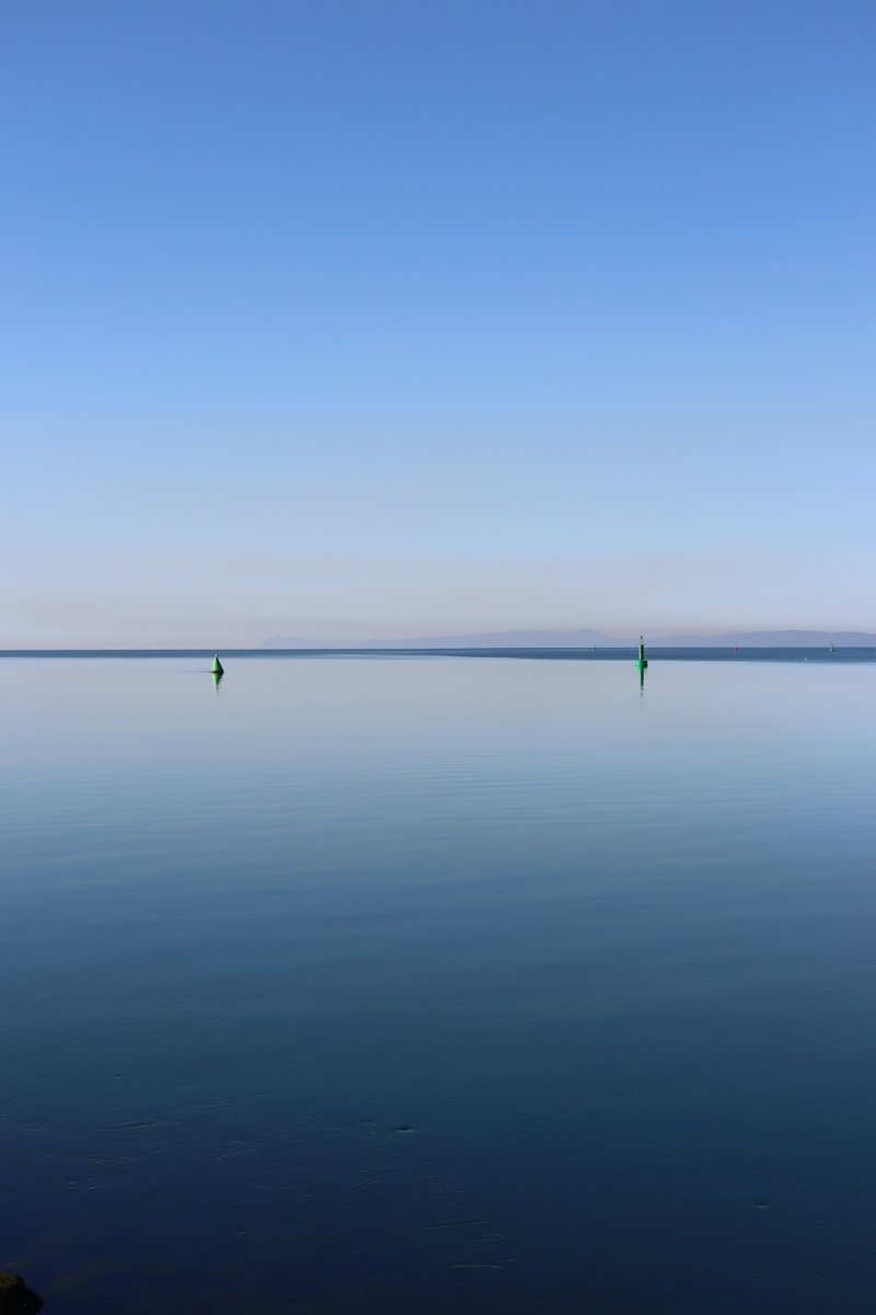 minimalism's tweet photo. Quiet beauty in every frame.

https://t.co/UZD2l6ak3l https://t.co/njlwkd4XKa