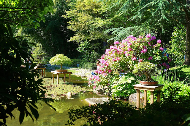 parisladouce's tweet photo. Paris : 12 jardins de musées parisiens, 12 espaces verts inattendus à découvrir à la suite d'une exposition ou pour le simple plaisir de la flânerie
https://t.co/43O8Hm1ulv
#paris #florilege #jardin #parismusees #patrimoine #parispatrimoine #patrimoineparis https://t.co/QzAJdJyFzD