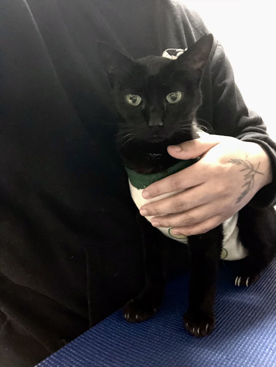 𝞣𝙅 𝞣𝞖𝙀 𝘾𝞒𝙀𝞓𝞣𝙊𝞒 tweet media