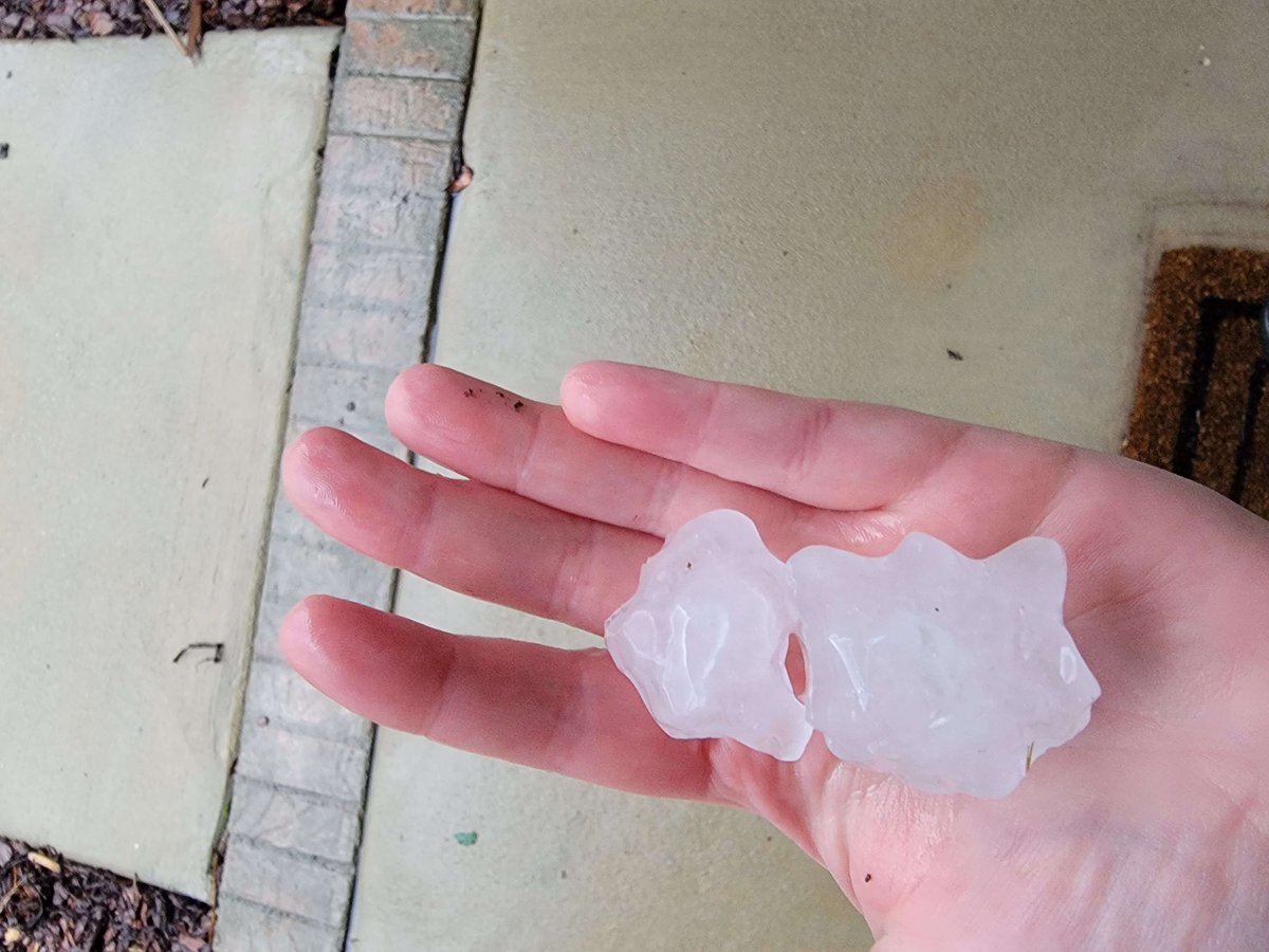 Hail in Western Madison, AL in Limestone County <a href="/ryanhallyall/">Ryan Hall, Y’all</a> <a href="/spann/">James Spann</a> <a href="/NWSHuntsville/">NWS Huntsville</a> <a href="/BradArnoldWX/">Brad Arnold</a>