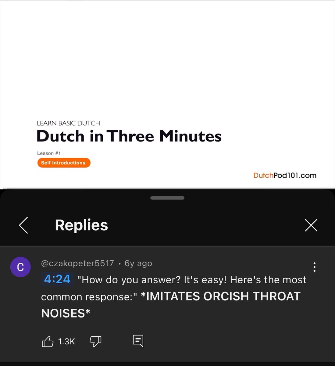 getting a crash course in dutch ahead of my 3 month stay in amsterdam and i fear my vocal chords were not built for this