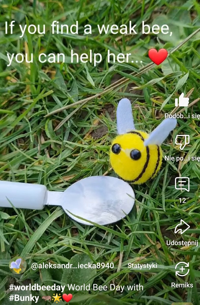 ATryniecka's tweet photo. Dear All,
It's #WorldBeeDay
and you can always help bees who are weak the way that #Bunky does! Here is how: 
https://t.co/LZoxGIA3Uq
Be a Bunky Bee Hero! 💗🐝🦛💗 https://t.co/16DOHiZZ6b